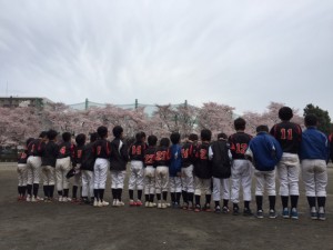 桜　鶴の台小学校③